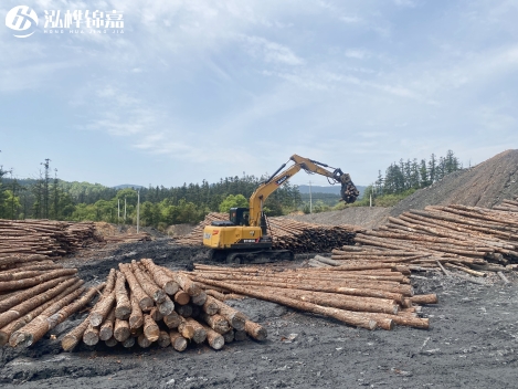 <a href=http://www.zippogz.com/ target=_blank class=infotextkey>松木樁</a>施工