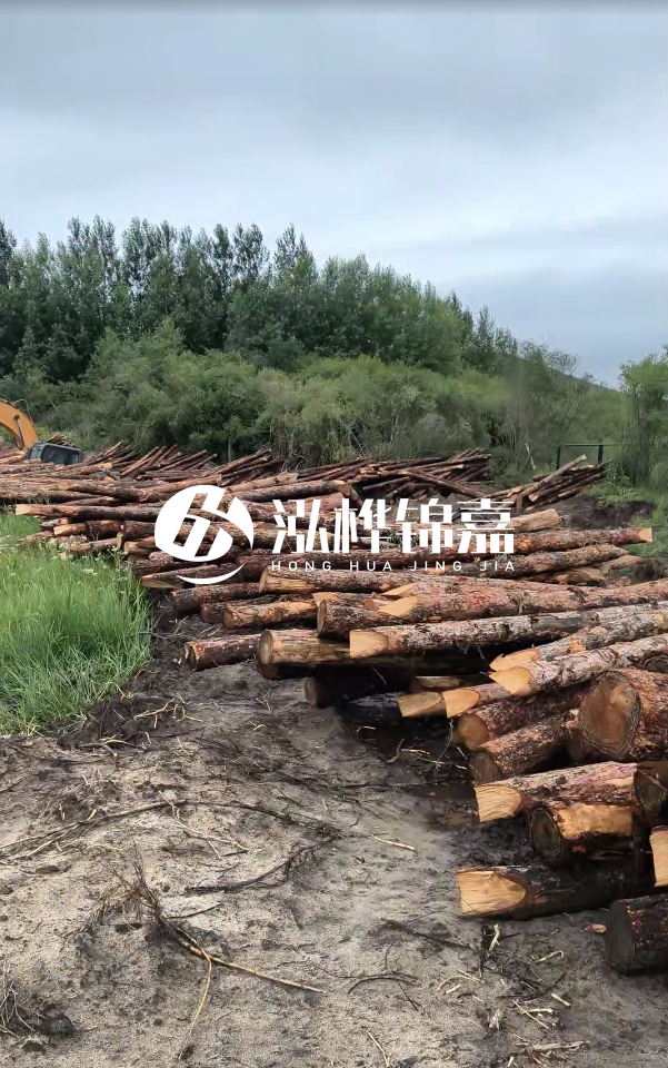 甘肅河道清淤工程公司-為什么要進行河道清淤?