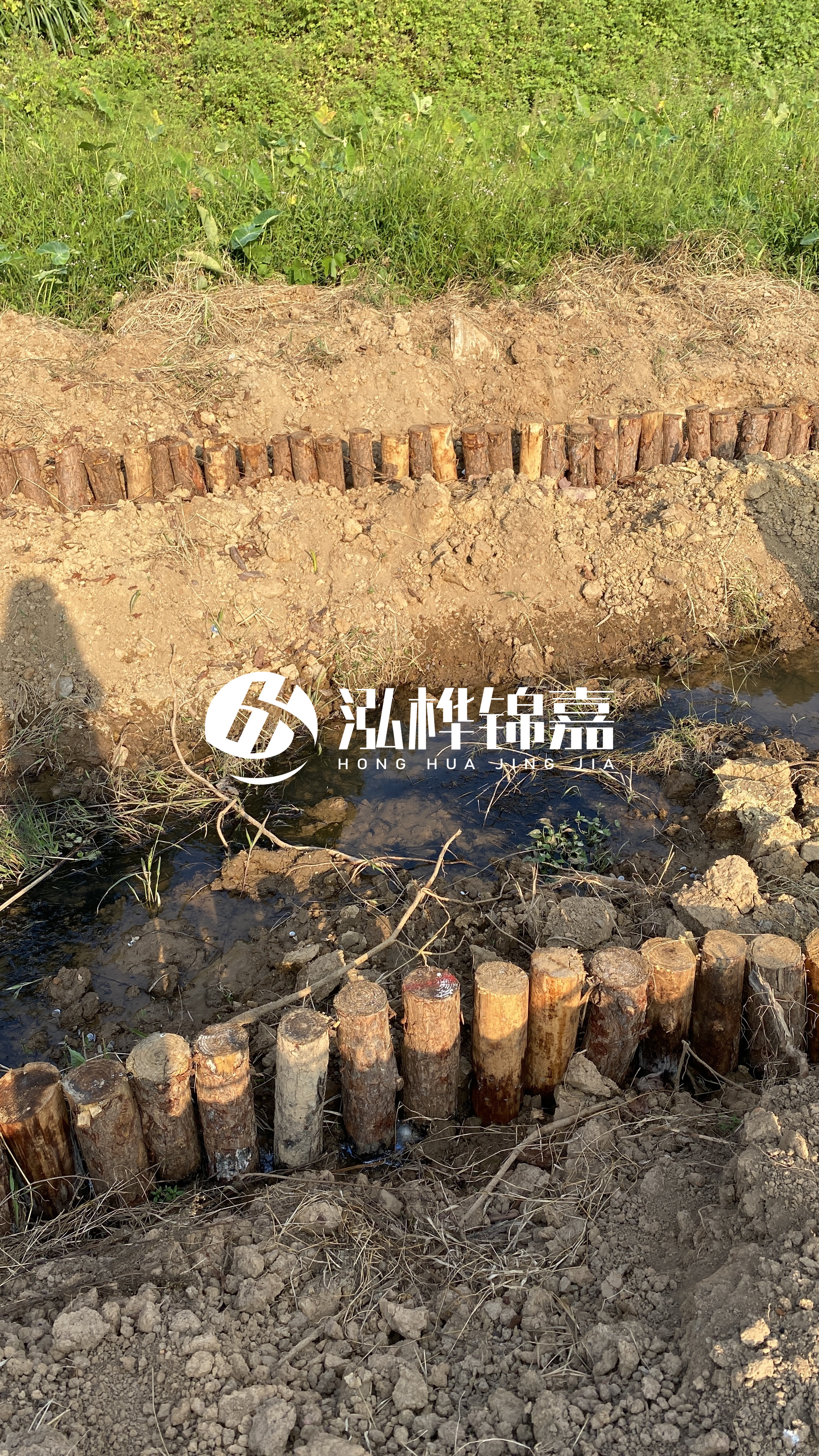 大慶挖機打木樁專業施工-五米松木樁用什么打樁機?