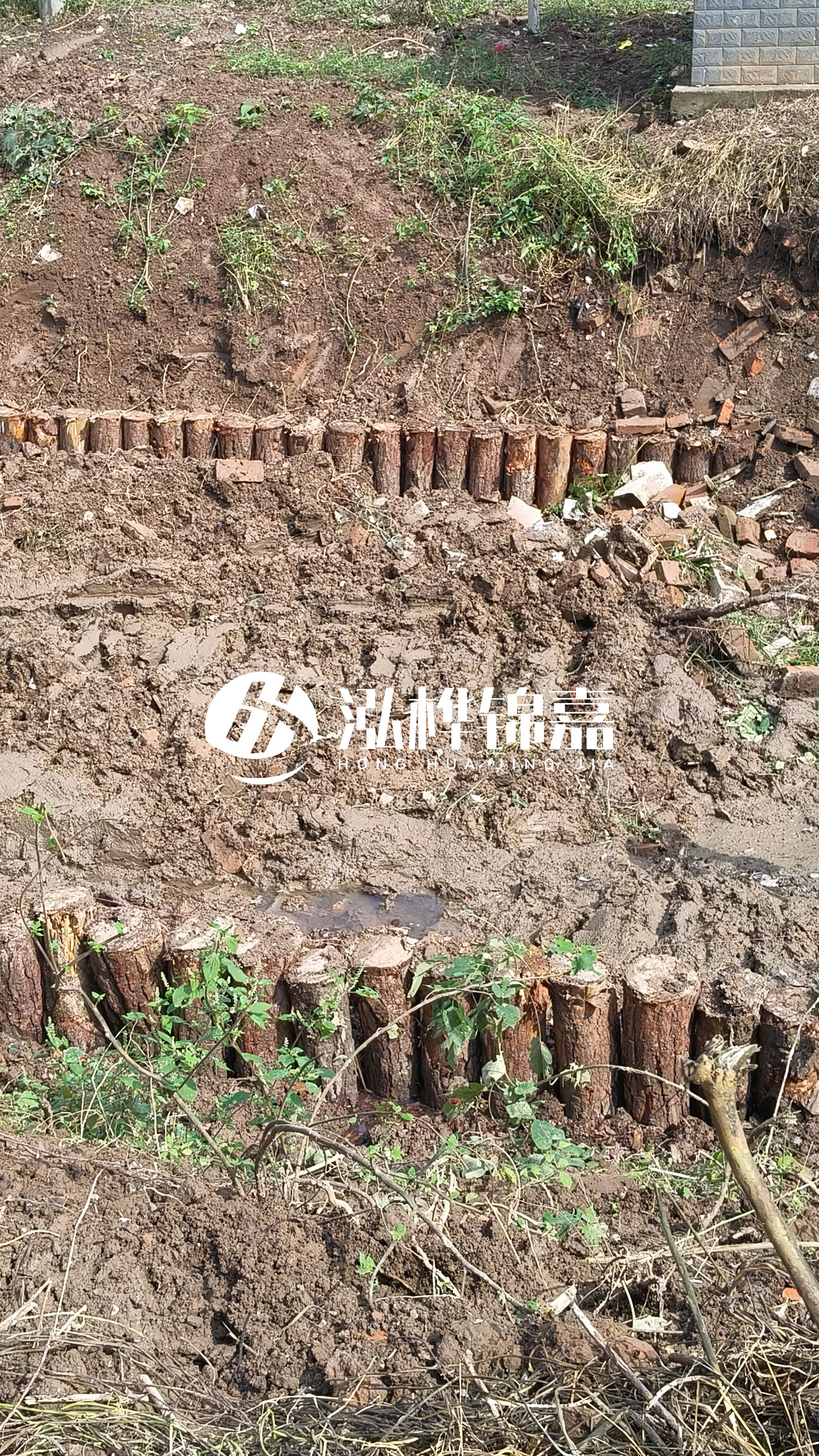 麗水挖機打木樁專業施工-松木樁打樁木在濕地環境打樁要注意什么?