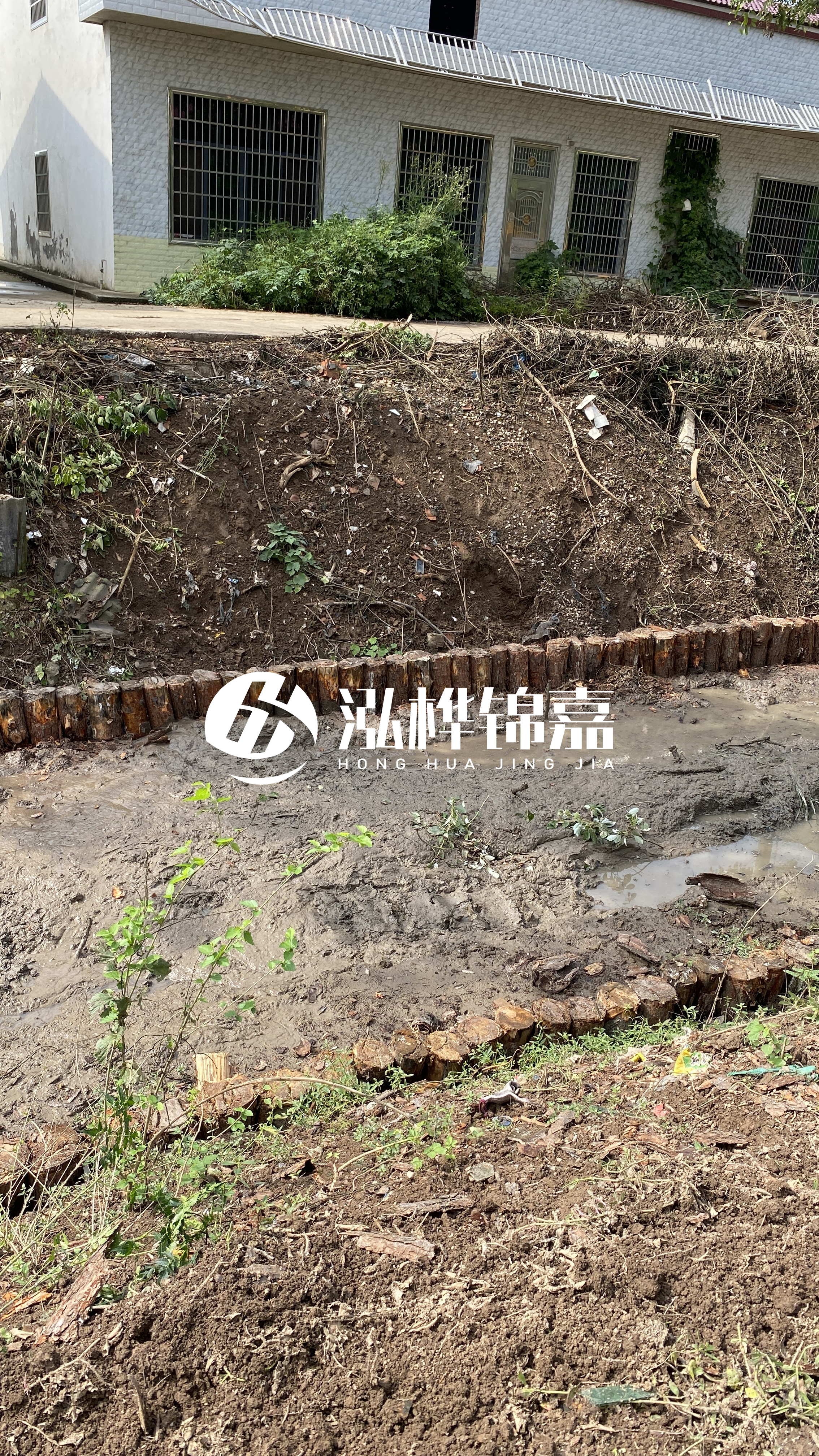 安慶挖機打木樁專業施工-松木樁作為打樁木有哪些優勢特點?