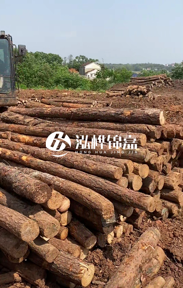 荊州挖機(jī)打木樁專業(yè)施工-河道打樁木被水浸泡后會不會變形嚴(yán)重?