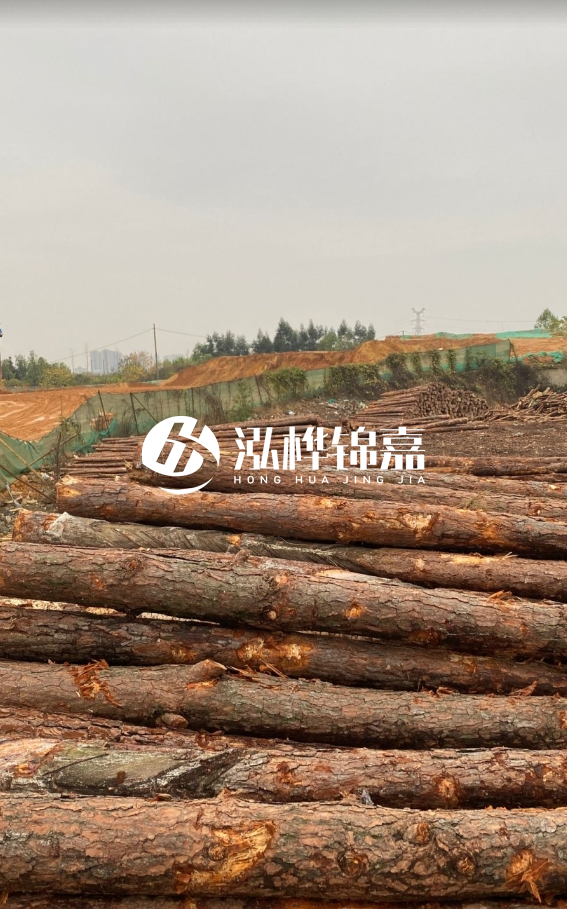攀枝花松木樁源頭廠家-河道松木樁廠家聯(lián)系方式?