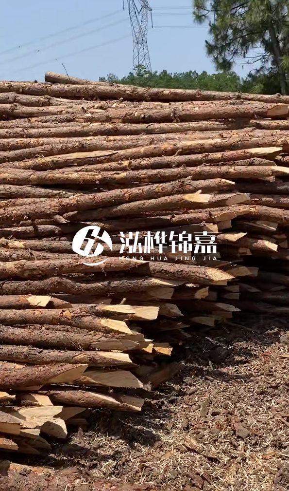 銅仁市挖機打木樁專業施工-河道松木樁水面需要預留多少？