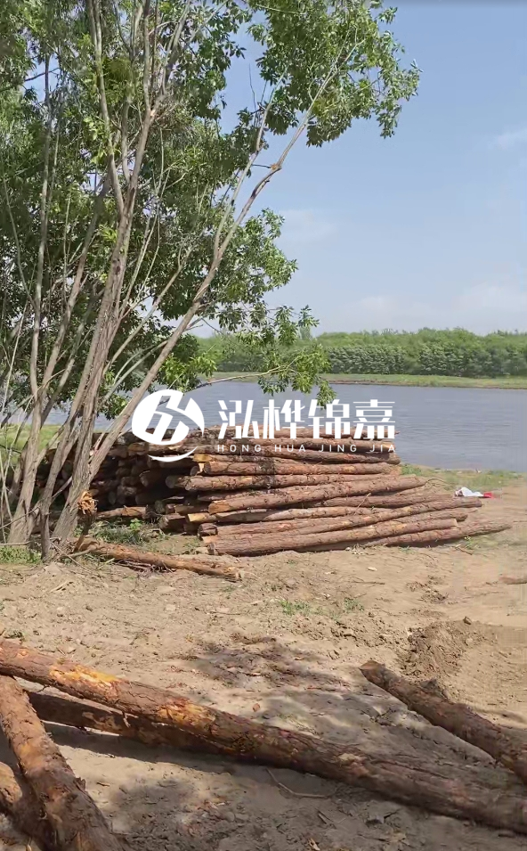 慶陽挖機打木樁專業施工-松木打樁過程中如何避免木材開裂？