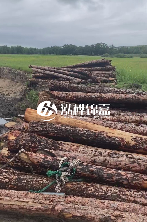 打樁木樁的選購(gòu)標(biāo)準(zhǔn)是什么?材質(zhì)、尺寸與強(qiáng)度,哪些標(biāo)準(zhǔn)不能忽視?