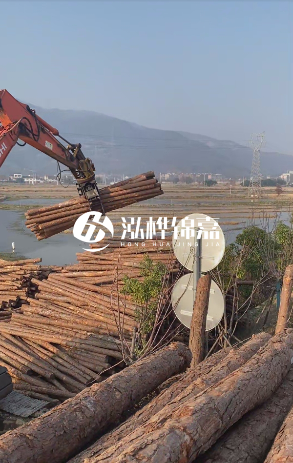 松木樁是否需要削皮呢?松木樁為什么不會(huì)爛掉呢?