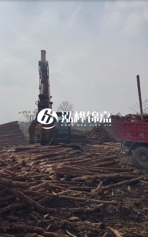 6米打樁木多少錢(qián)一根-6米10-15公分價(jià)格是多少?