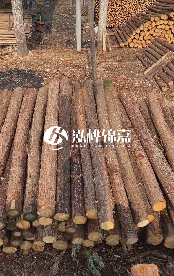 河道護坡選松木樁還是杉木樁？河道木樁一根多少錢？