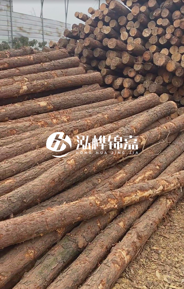 山西河道木樁護岸價格多少錢一米-每米河道打樁要花多少錢？