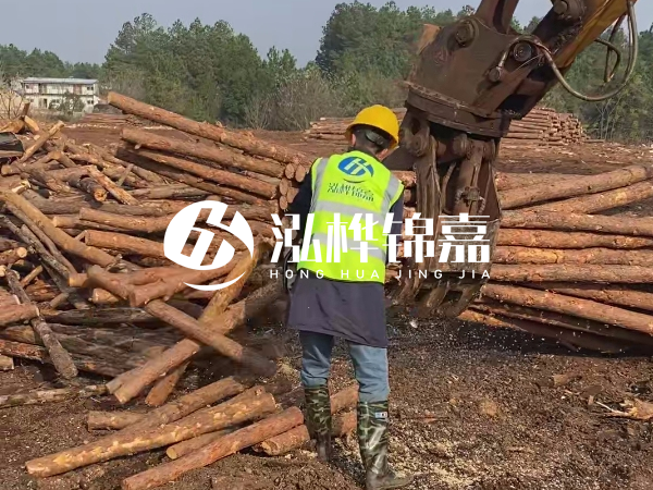 安徽松木樁選哪家-5米小頭10-12公分松木樁多少錢(qián)?