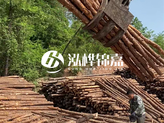 哪里能買到優(yōu)質(zhì) 3 米松木樁?長沙有松木樁批發(fā)工廠嗎?