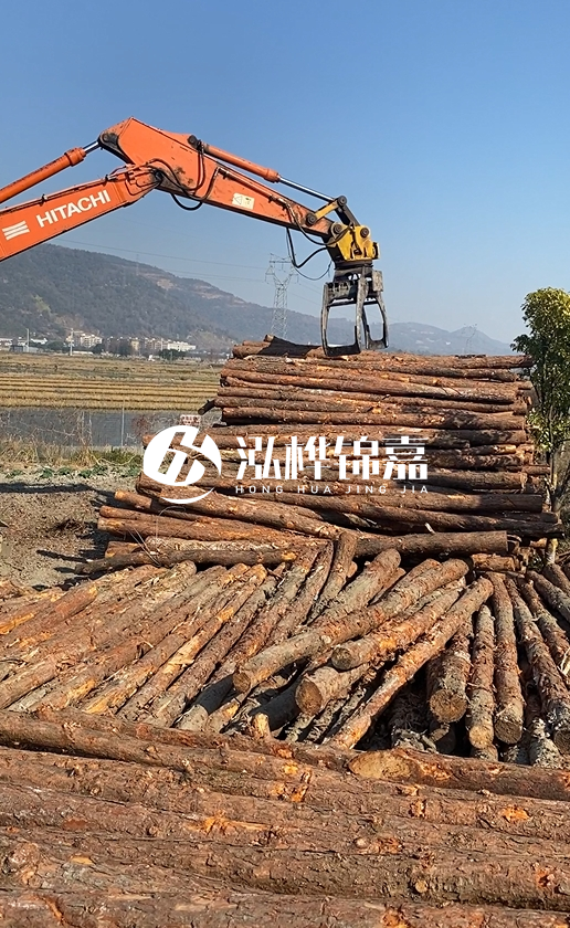 帶皮松木樁的防腐效果如何？和不帶皮松木樁價格差異有多大？