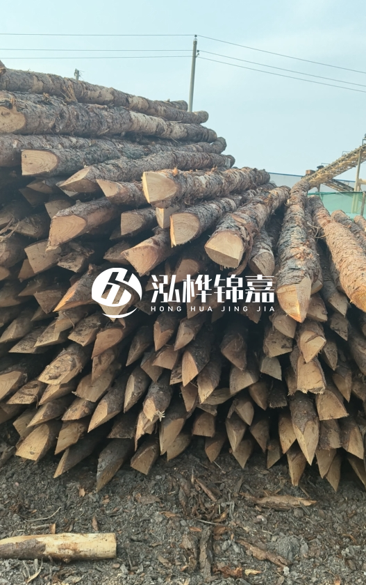 落葉松木材價格多少錢一立方？油松木材多少錢一立方？