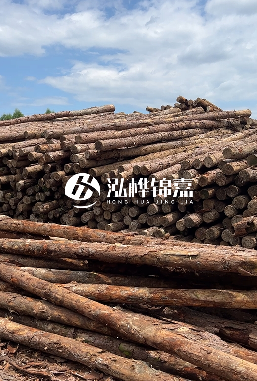 福建松木樁源頭廠家泓樺錦嘉-4.5米松木樁大頭15CM多少錢？