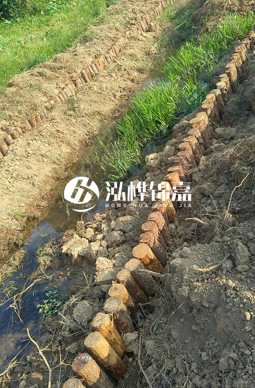 湖南松木樁批發廠家直銷-松木樁做碳化多少錢一根？