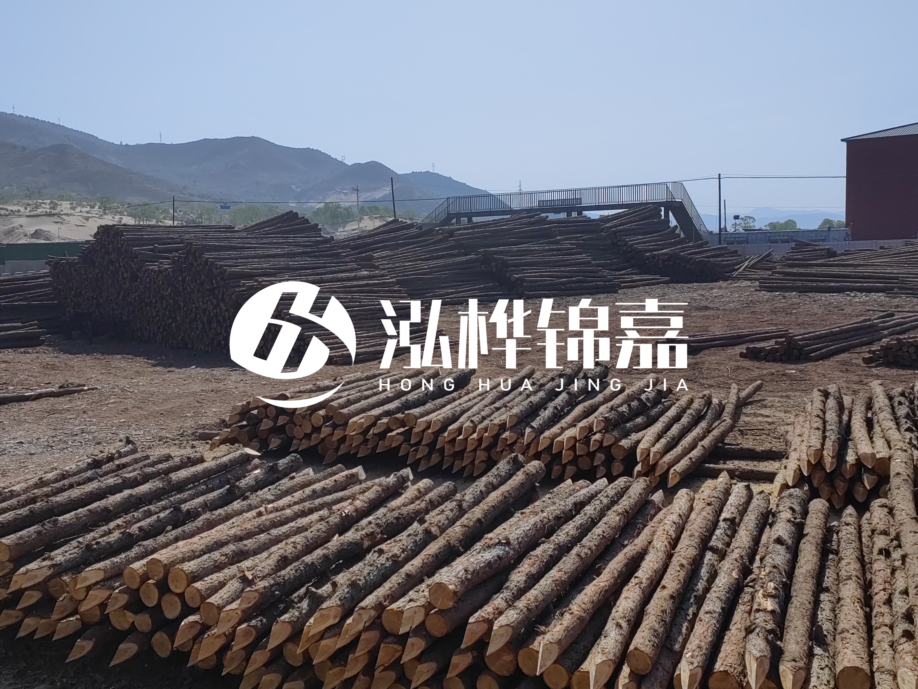 江蘇打樁木源頭廠家泓樺錦嘉-4米打樁木大頭14-16小頭一般多少？