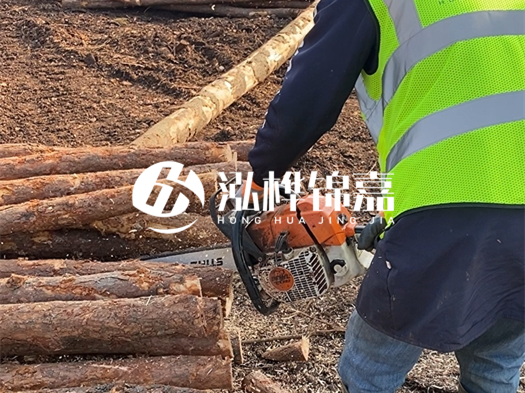 河道打木樁多少錢一根？5米直徑10松木樁打樁多少錢？