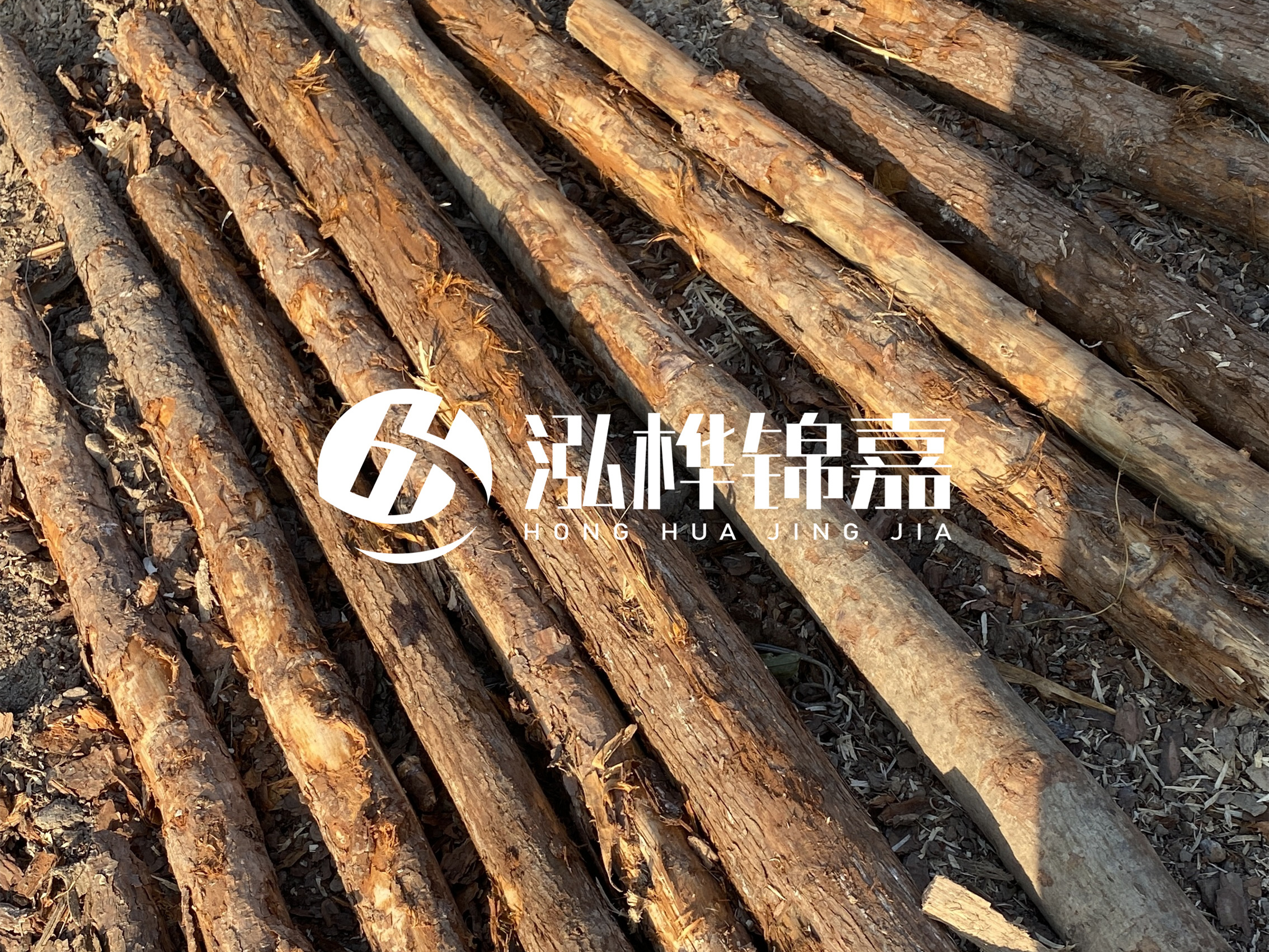 河道木樁多少錢一根？河道木樁的使用以及保養方法?