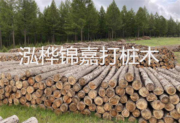 松木樁能施工嗎?探究視頻揭秘真相!