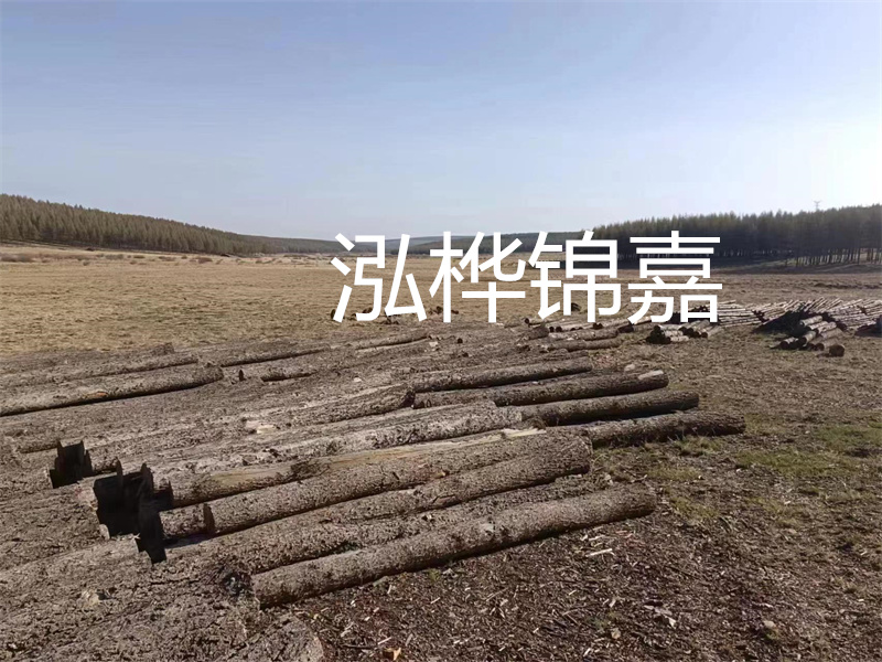 彩色透水混凝土,為城市增添綠色與美麗