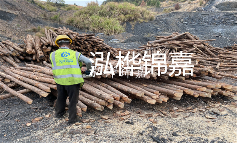 廣西哪里買松木樁?